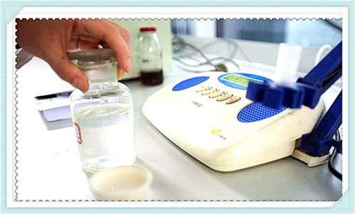 火棘乳酸菌飲料配方技術(shù)研發(fā)與咨詢服務(wù)