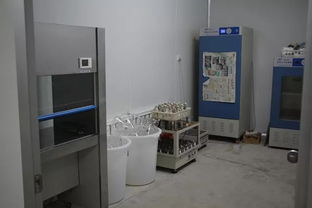 雙興新盛木耳菌包廠 優質菌包熱銷中，專業技術助力致富路